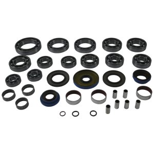 Polaris RZR Differential Kit - All Balls Racing - Transaxle Bearing & Seal Kit - `13-`17 Polaris RZR Differential Kit - All Balls Racing - Transaxle Bearing & Seal Kit - `13-`17